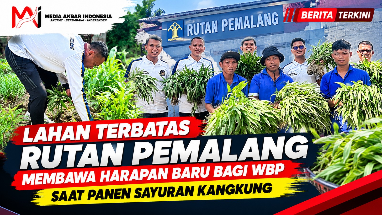 Lahan Terbatas Rutan Pemalang Membawa Harapan Baru Bagi WBP Saat Panen Sayuran Kangkung.jpg