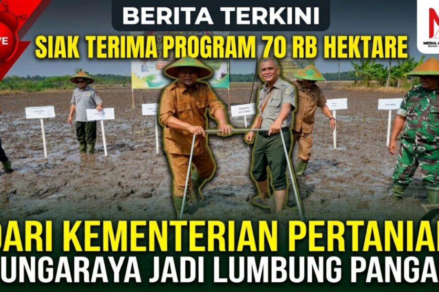 Siak Terima Program Penanaman 70 Ribu Hektare Dari Kementerian Pertanian, Ciptakan Bungaraya sebagai Lumbung Pangan.jpg