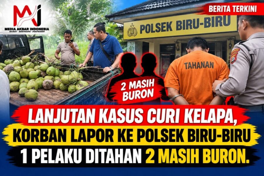 Kasus_curi_kelapa_media_akbar_indonesia