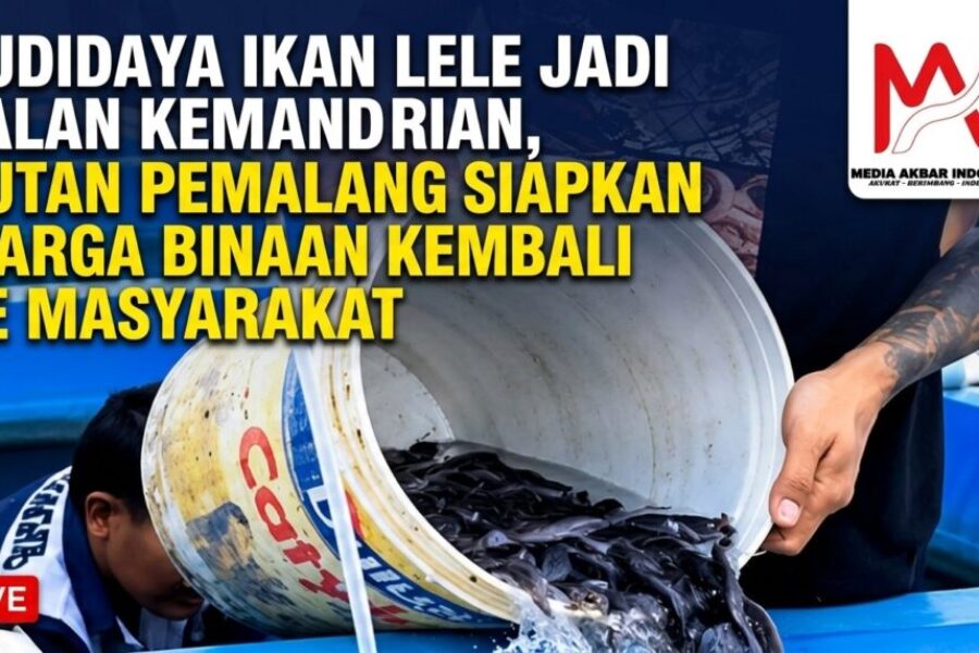 Budidaya Ikan Lele Jadi Jalan Kemandirian,Rutan Pemalang Siapkan Warga Binaan Kembali Ke Masyarakat.jpg